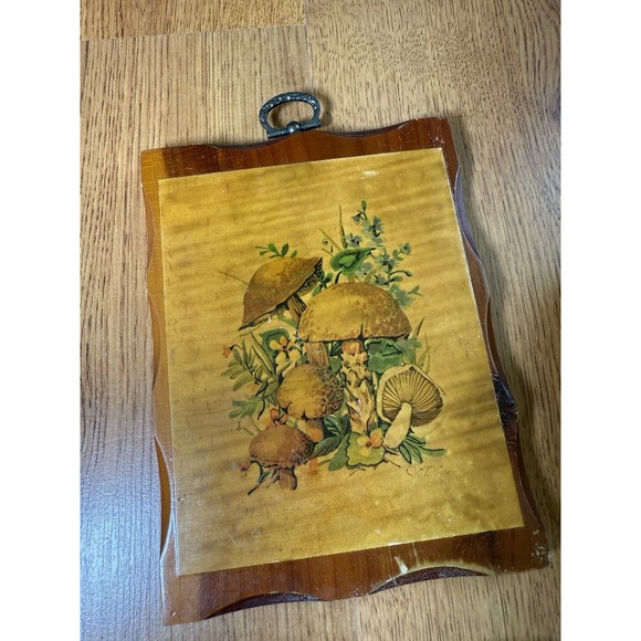 Vtg Acrylic Resin Lucite Trivet Set (2) + Spoon Rest + Wooden Mushroom Wall Art - Picture 6 of 16